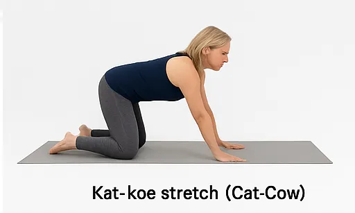 rekoefening rug kat koe stretch